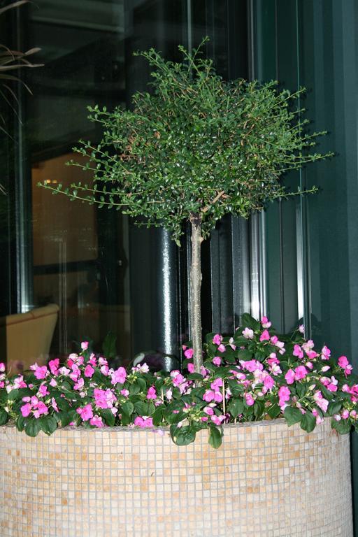 La Perla B&B Hotel روزيتو ديلي أبروتسي المظهر الخارجي الصورة